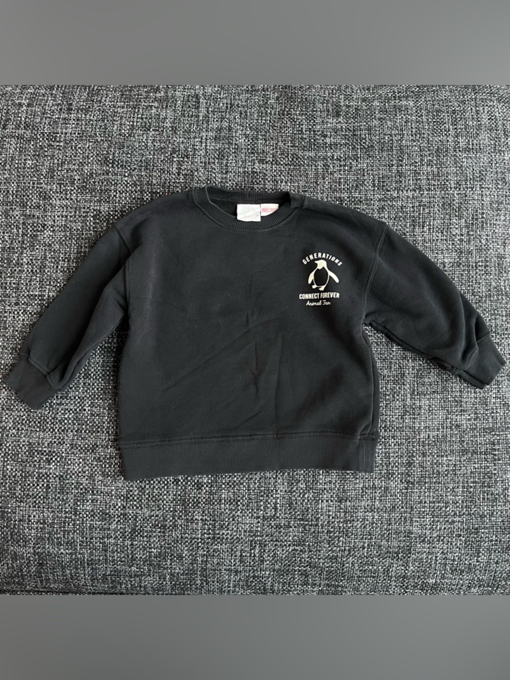 NWOT Zara Generations Sweater Size 9-12 Months